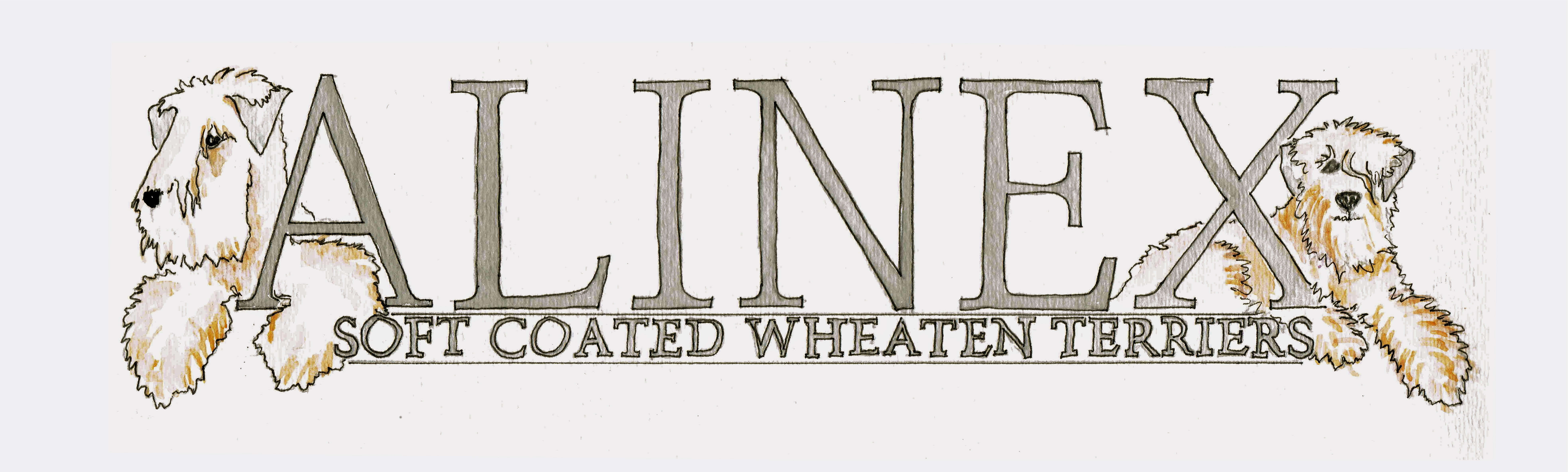 Alinex Wheatens